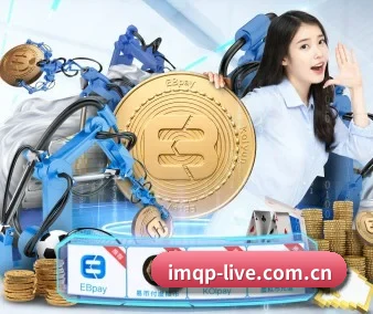 高清回放无广告